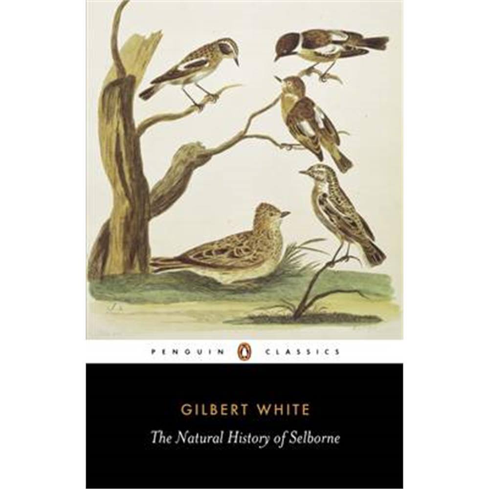 The Natural History of Selborne (Paperback) - Gilbert White